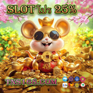 Slot-โปร-25